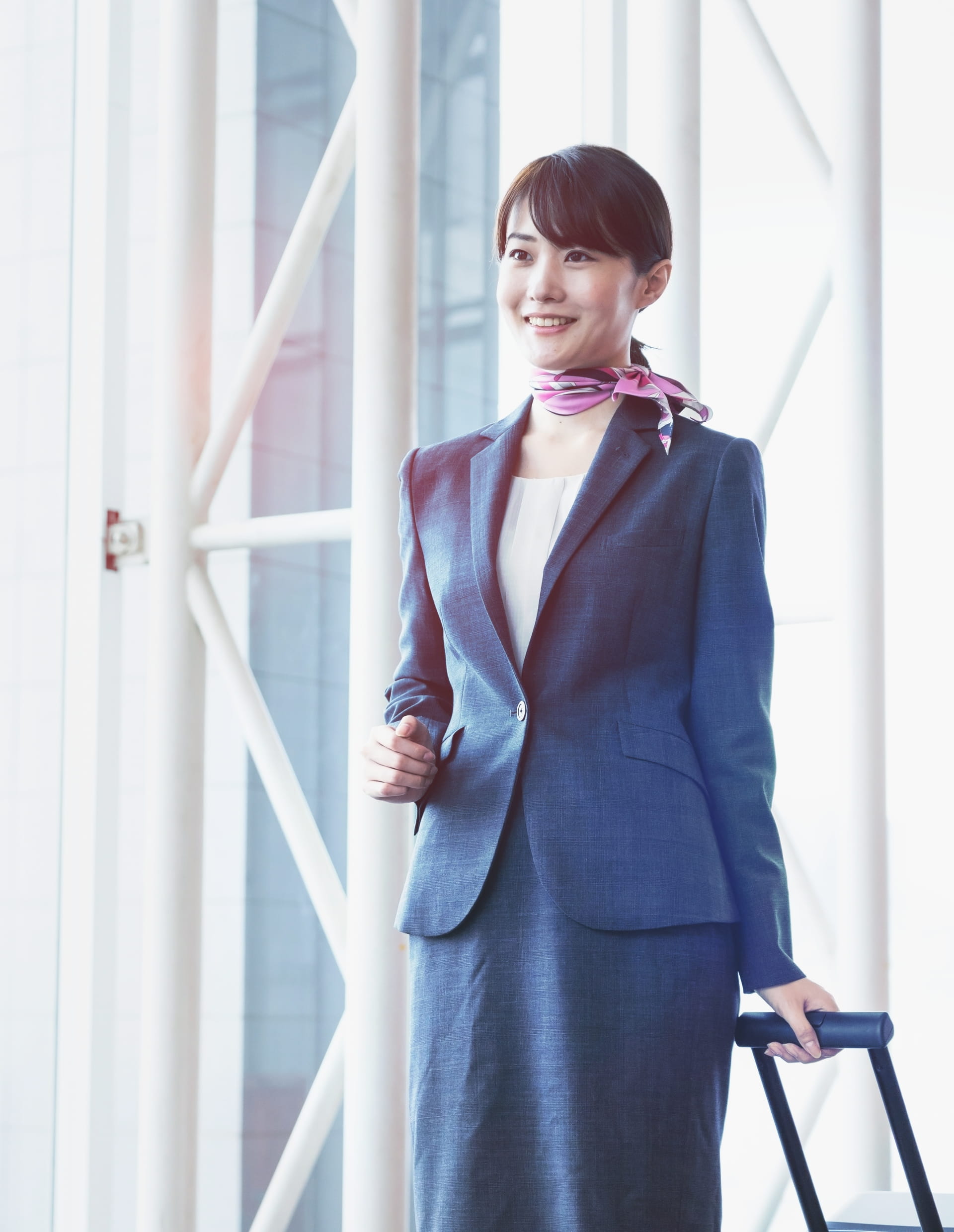 事業内容の導入イメージ